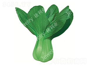 ������-�๣�˷N��-������