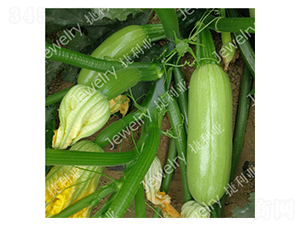 ����824-�����J�N��-������