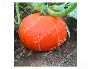 ����121-�ϹϷN��-������