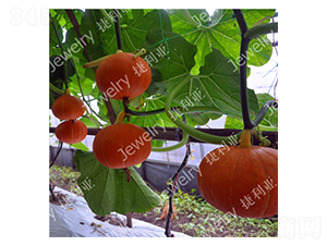 ����119-�ϹϷN��-������