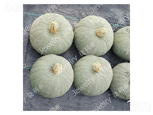 ����161-�ϹϷN��-������