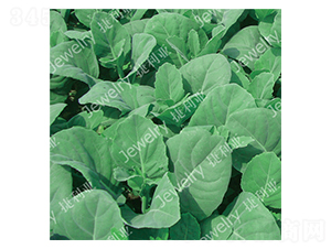 �݌�3̖-���{�N��-������