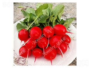 ����(y��u)3̖-�����}���N��-������