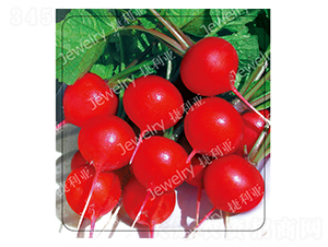 ����(y��u)4̖-�����}���N��-������