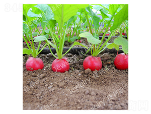 ����(y��u)5̖-�����}���N��-������