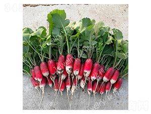 ����(y��u)114-�����}���N��-������