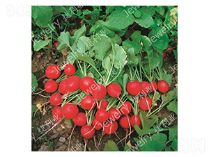 ����(y��u)2̖-�����}���N��-������