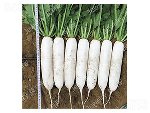 ����1410-�}���N��-������