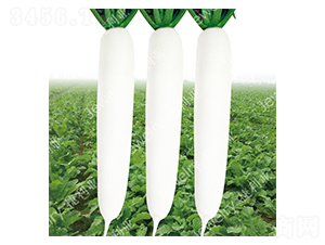 �����״�-�}���N��-������