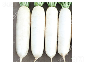 CR���紺2̖-�}���N��-������