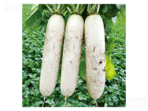 ������159-�}���N��-������