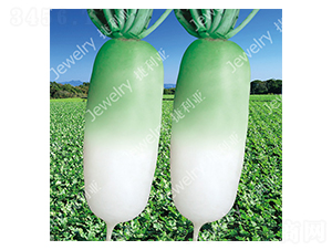 ��G1425-�}���N��-������