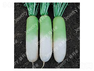 ��G1442-�}���N��-������