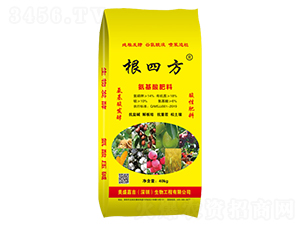 ���������-���ķ�-��ʢ�μ�