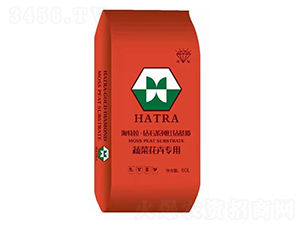 �߲˻��܌���-�@ʯϵ�мt�@���|(zh��)-������