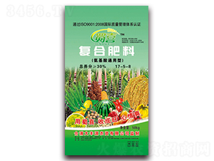 ������ͨ���͏ͺϷ���17-5-8-����