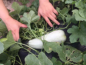 ʥ�r402���-��ϷN��-ʥ�r�߿�