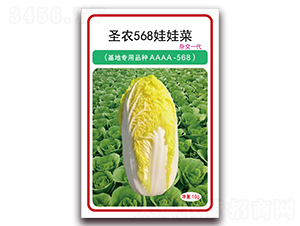 ʥ�r(n��ng)568���޲�-���޲˷N��-ʥ�r(n��ng)�߿�