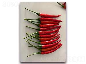 ʥ�r(n��ng)�t��ʯ08���콷-���콷�N��-ʥ�r(n��ng)�߿�