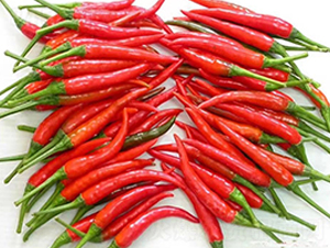 ʥ�r(n��ng)�t��ʯ06���콷-���콷�N��-ʥ�r(n��ng)�߿�