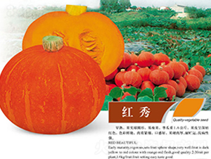 �t��-�ϹϷN��-ʒ�·N�I(y��)