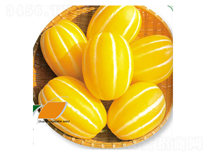 �S����-��ϷN��-ʒ�·N�I(y��)