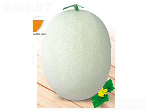 �F��-��ϷN��-ʒ�·N�I(y��)