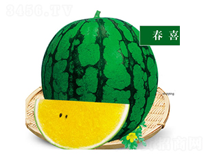 ��ϲ-���ϷN��-ʒ�·N�I(y��)