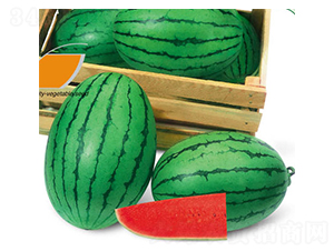 ���ᭇ-���ϷN��-ʒ�·N�I(y��)