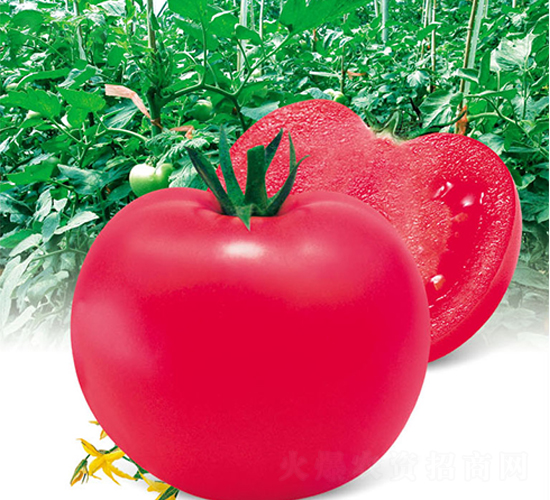 ���A�۹�-���ѷN��-ʒ�·N�I(y��)