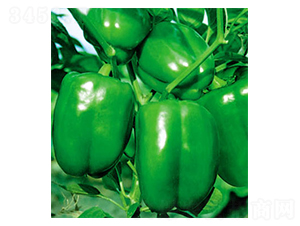 ���S-�𽷷N��-ʒ�·N�I(y��)