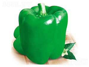 ����-�𽷷N��-ʒ�·N�I(y��)