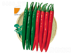 �t��-�����N��-ʒ�·N�I(y��)