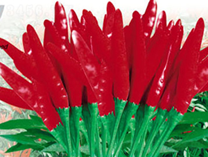 ���-�����N��-ʒ�·N�I(y��)