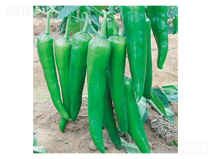 ɳĮ�G��-�����N��-ʒ�·N�I(y��)