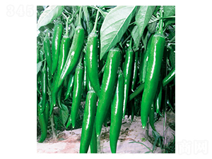 �|������-�����N��-ʒ�·N�I(y��)