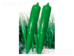 ����ʮ��̖-�����N��-ʒ�·N�I(y��)