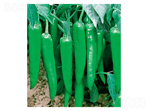 ��������-�����N��-ʒ�·N�I(y��)