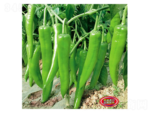 һ���콷-�����N��-ʒ�·N�I(y��)