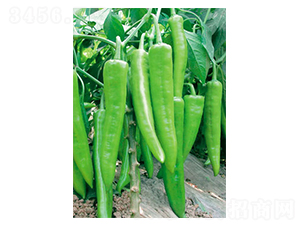 ʒ��818-�����N��-ʒ�·N�I(y��)