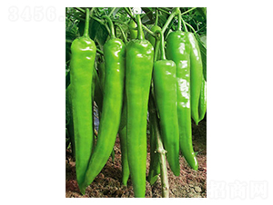 �W�\(y��n)��2008-�����N��-ʒ�·N�I(y��)