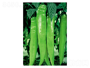 ʒ�¾�̖-�����N��-ʒ�·N�I(y��)