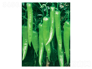 ʒ�¾�̖B��-�����N��-ʒ�·N�I(y��)