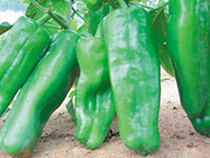 ʒ��301-�����N��-ʒ�·N�I(y��)