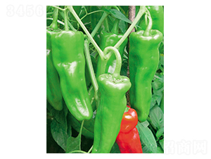 ��������-�����N��-ʒ�·N�I(y��)