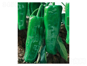 ����801-�����N��-ʒ�·N�I(y��)