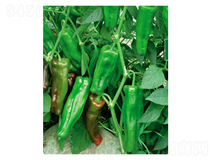 �������S-�����N��-ʒ�·N�I(y��)