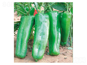 ʒ��ʮ��-�����N��-ʒ�·N�I(y��)