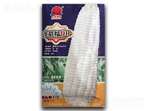 ����Ŵ9B-Ŵ���׷N��-����N��