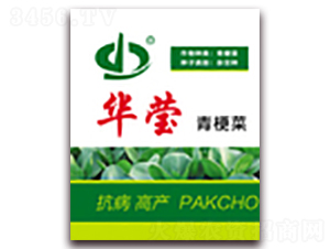 �A��-�๣�˷N��-����N��